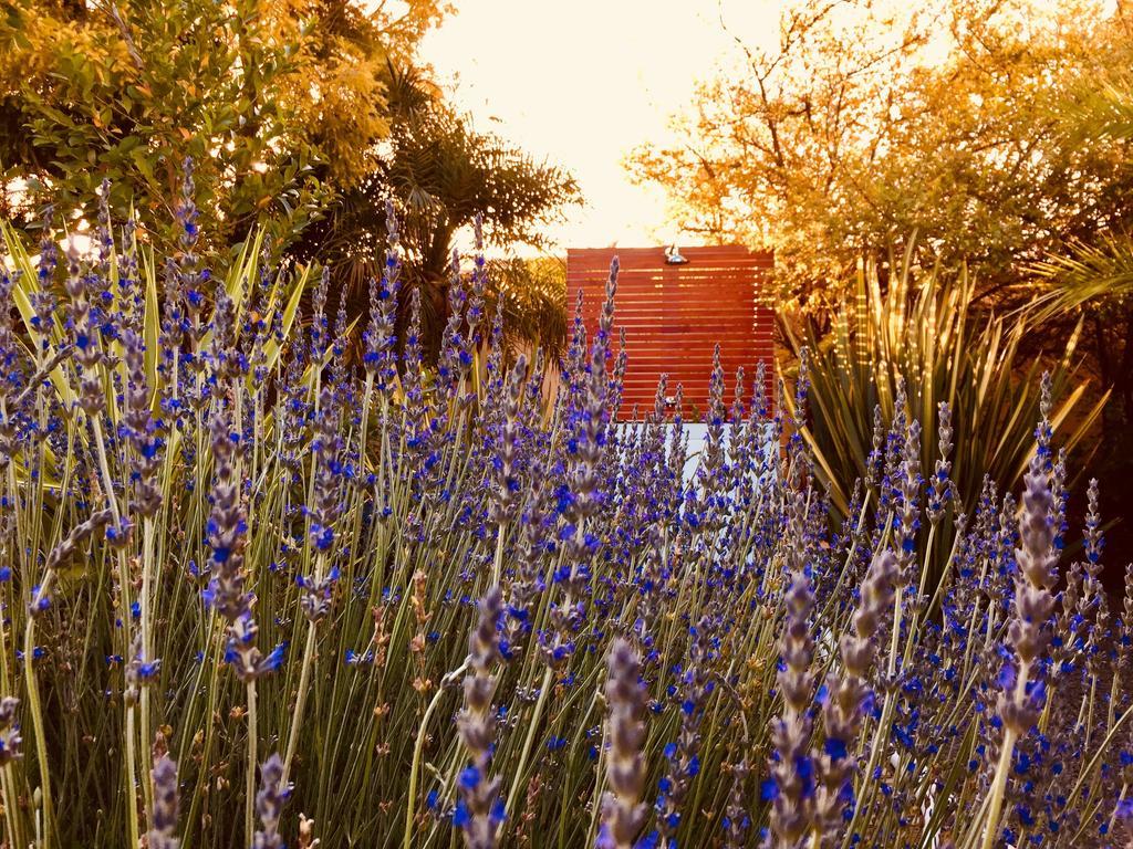 Pictures Guest House Boutique Hotel Oudtshoorn Extérieur photo